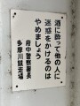 IMG_7707.jpg