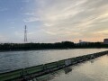 IMG_7853.jpg
