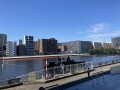 IMG_8141.jpg