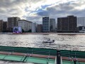 IMG_8166.jpg
