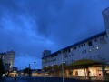 IMG_8220.jpg