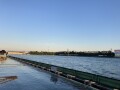 IMG_8356.jpg