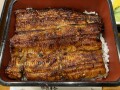 IMG_8526.jpg