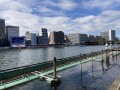 IMG_8567.jpg