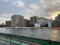 IMG_8575.jpg