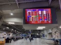 IMG_8593.jpg