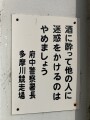 IMG_8643.jpg