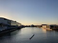 IMG_8667.jpg