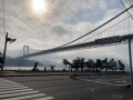 IMG_8970.jpg