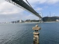 IMG_9013.jpg