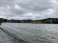 IMG_9226.jpg