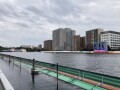 IMG_9289.jpg