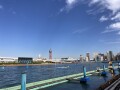 IMG_9393.jpg IMG_9393.jpg