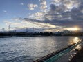 IMG_9804.jpg IMG_9804.jpg