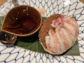 IMG_9834.jpg