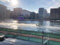 IMG_0071.jpg
