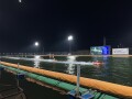 IMG_0184.jpg IMG_0184.jpg
