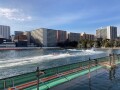 IMG_0331.jpg