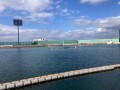 IMG_0602.jpg IMG_0602.jpg