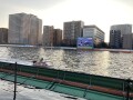 IMG_0654.jpg