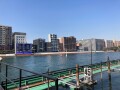 IMG_0868.jpg