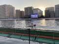 IMG_0909.jpg