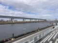 IMG_0916.jpg