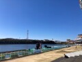 IMG_0944.jpg
