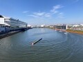 IMG_0972.jpg