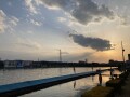IMG_1020.jpg