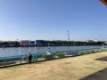 IMG_1028.jpg