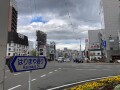 IMG_1065.jpg