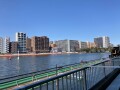 IMG_1151.jpg