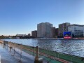 IMG_1161.jpg