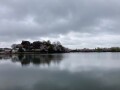 IMG_1207.jpg