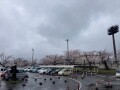IMG_1204.jpg