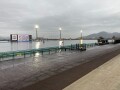 IMG_1226.jpg