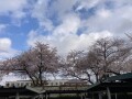 IMG_1308.jpg