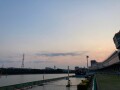 IMG_1356.jpg