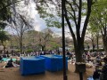 IMG_1370.jpg