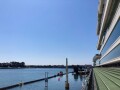 IMG_1516.jpg IMG_1516.jpg