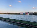 IMG_1621.jpg