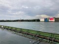 IMG_1956.jpg