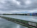 IMG_1965.jpg
