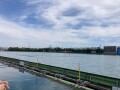 IMG_1982.jpg