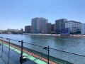 IMG_1993.jpg