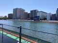 IMG_2007.jpg