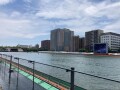 IMG_2028.jpg
