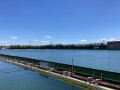 IMG_2265.jpg