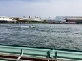 IMG_2350.jpg IMG_2350.jpg